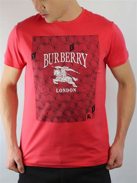 cheap burberry t shirt from china